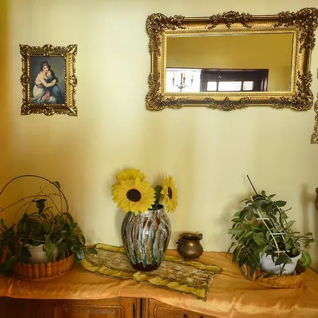 Owsz Kachna ザボヤ